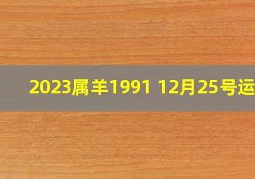 2023属羊1991 12月25号运势